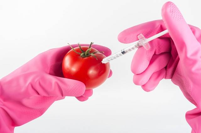 Qué es la Biotecnología en Alimentos? – Centro de Biotecnología