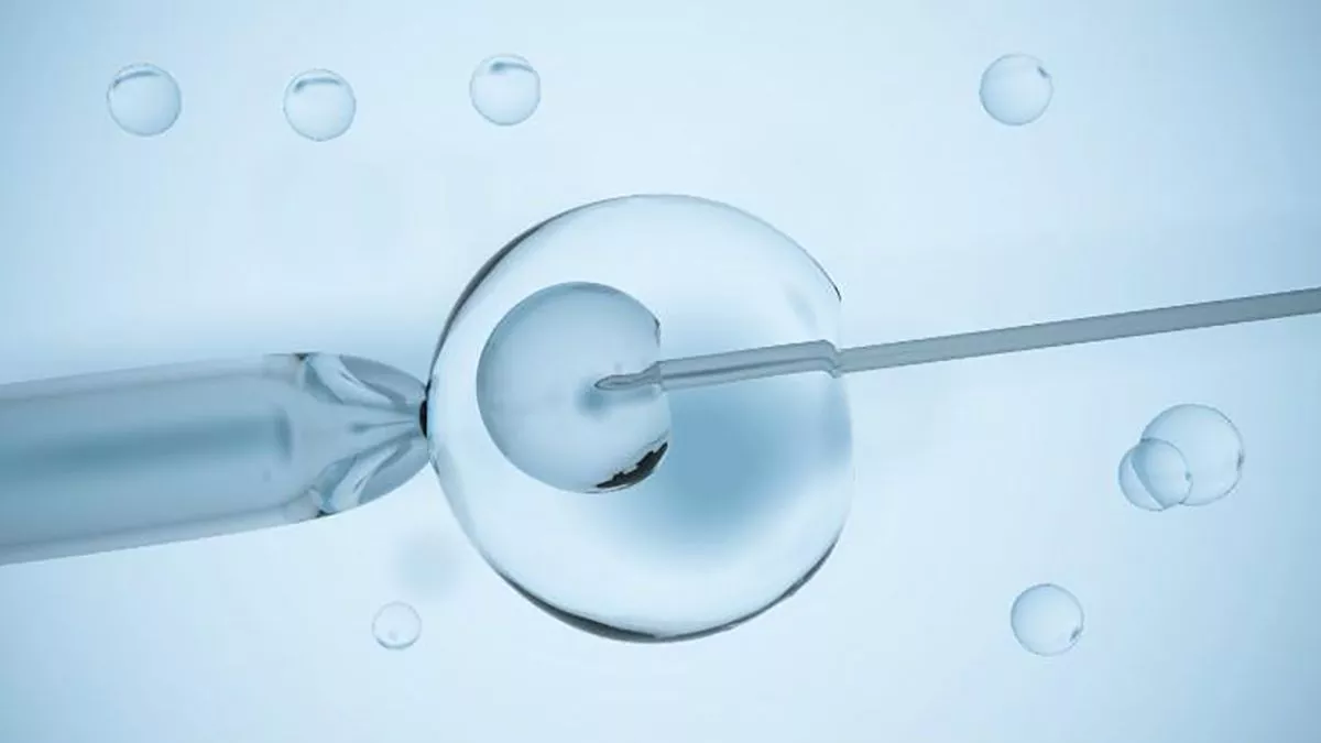 Biotecnología en la Reproducción Animal: Avances y Aplicaciones